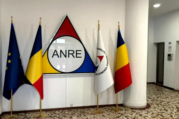 anre a pierdut un proces de 100 de milioane de lei cu furnizorul nova power gas reactia anre institutia a utilizat pana la epuizare toate caile de atac posibile conform legii 694191df0ca5b