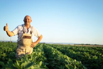 cec bank faciliteaza refinantarea creditelor acordate prin componentele agro si rural printr o noua conventie oferita clientilor 6939292d19ace 1