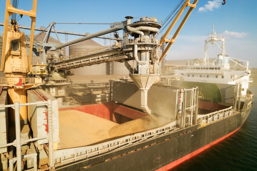 romania incheie anul ca cel mai mare exportator de cereale din ue 69518da1a9ac2