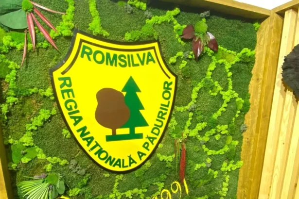 romsilva a investit in acest an 289 de milioane lei in drumuri forestiere depozite si utilaje 694d2196a0c69