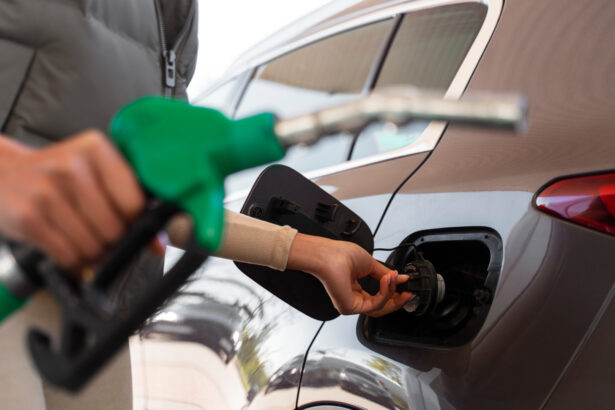 rusia extinde pana in 28 februarie interdictia privind exporturile de benzina in timpul iernii este o cerere ridicata de combustibili pe piata 694fe36e97446