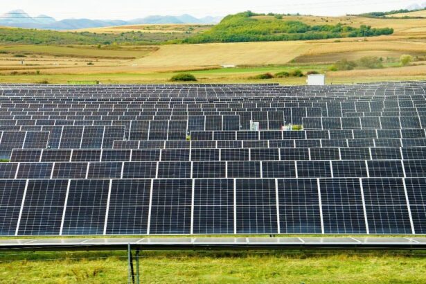 cce a vandut proiectul fotovoltaic horia 2 din judetul arad catre bulgarii de la renalfa solarpro group 696e7f4e2cd8a