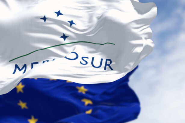 decizie cu impact major ce risca si ce poate castiga economia romaniei din acordul ue mercosur 696736df19c53