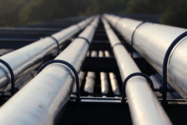 opec ar putea mentine productia de petrol la niveluri stabile in ciuda tensiunilor politice 695a452675500