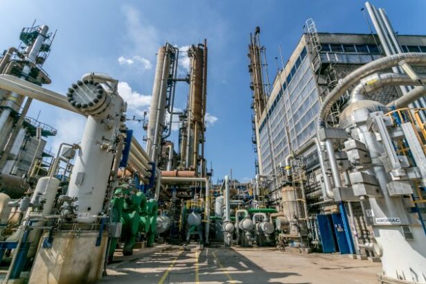 romgaz spune ca a facut o oferta pentru azomures si asteapta sa fie invitata la negocieri nu va fi sensibilizata sa ofere cat vrea patronul azomures 696687e116047