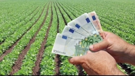 cereri de finantare de 240 din alocarea disponibila fermierii se bat pentru 151 de milioane de euro pentru a face investitii in legume si cartofi 6981ac52e9c0e
