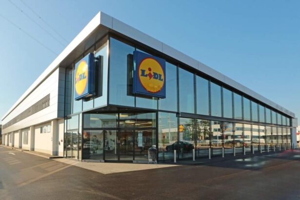 lidl a demarat expansiunea anuala prima inaugurare a anului este langa bucuresti 698462091542e