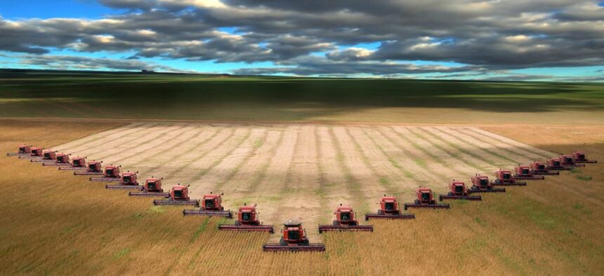 Holde Agri Invest atinge noi culmi în producție: „Piața rămâne provocatoare în 2025” 1 productie record pentru holde agri invest contextul de piata a ramas unul dificil in 2025 699d62f8bcd9b