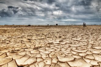 rosu aproape generalizat in prima prognoza agricola a anului fermierii ar putea baga in hambare cu 11 milioane de tone de cereale mai putin 69bc5e3912df8