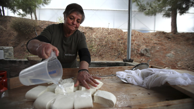 Brânza Halloumi, amenințată: fermierii din Cipru se luptă cu o epidemie devastatoare, iar salvarea vine prin acordul cu turcii din nord 1 branza halloumi in pericol fermierii ciprioti se confrunta cu o epidemie mortala iar solutia depinde de acordul turcilor din nord 69dca58b94d1b