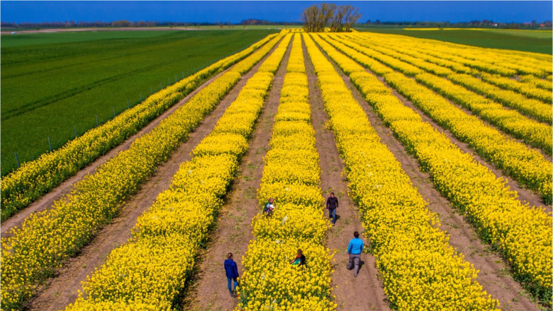 Conflictele dintre SUA și Iran zguduie piețele agricole, dar expertul Cezar Gheorghe afirmă că România nu se confruntă cu riscul unei penurii alimentare 1 video tensiunile dintre sua si iran agita pietele agricole cezar gheorghe expert romania nu risca penurie alimentara 69db798c5d5d9