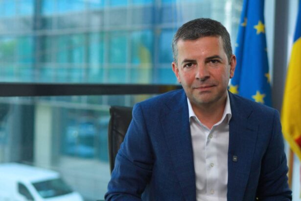 arice lanseaza instrumente de digitalizare si ofera acces firmelor romanesti la programul european global gateway 6a2807ca7df31