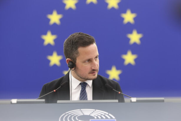exclusiv nicu stefanuta cere comisiei europene un mecanism rapid de despagubire pentru romanii care ar fi fost afectati de manipularea robor 6a292f4c158a0