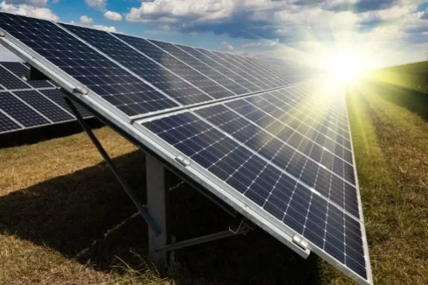 omv petrom a luat decizia finala de investitie pentru un proiect solar de 300 mil euro din bulgaria 6a313cc3a2d4b